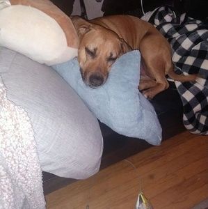 Meet your Posher, Krissy